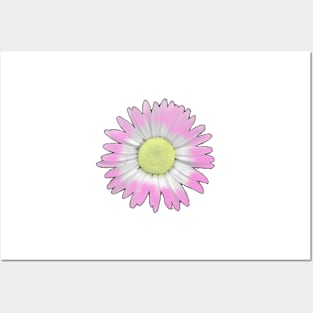 Daisy Print Posters and Art